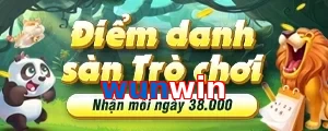 wunwin
